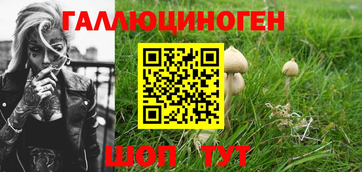 Галлюциногенные грибы прущие грибы  где продают наркотики  Вход с VPN  Бор  Псилоцибиновые грибы прущие грибы 
