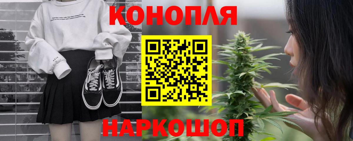 Конопля конопля Бор